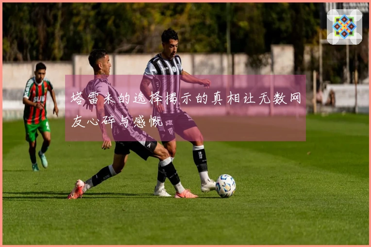 塔雷米的选择揭示的真相让无数网友心碎与感慨