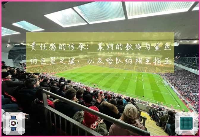 责任感的传承：莱利的教诲与鲨鱼的巨星之道，以及哈队的相互指正