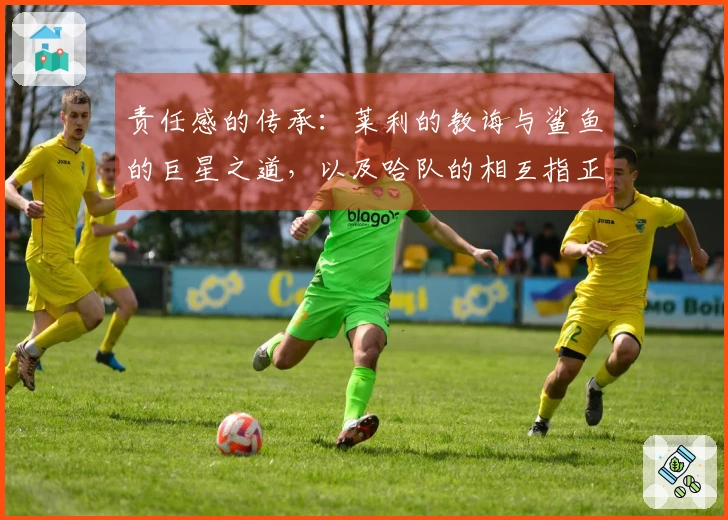 责任感的传承：莱利的教诲与鲨鱼的巨星之道，以及哈队的相互指正