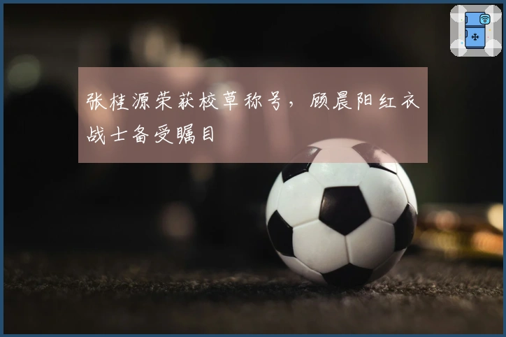 张桂源荣获校草称号，顾晨阳红衣战士备受瞩目